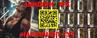 сатива Малгобек